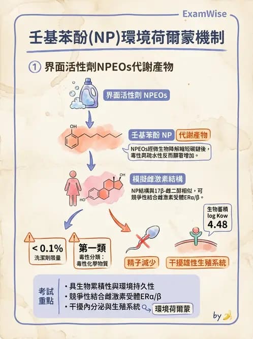 營養 - 食品用洗潔劑與殺菌消毒 - AI 圖文解析預覽