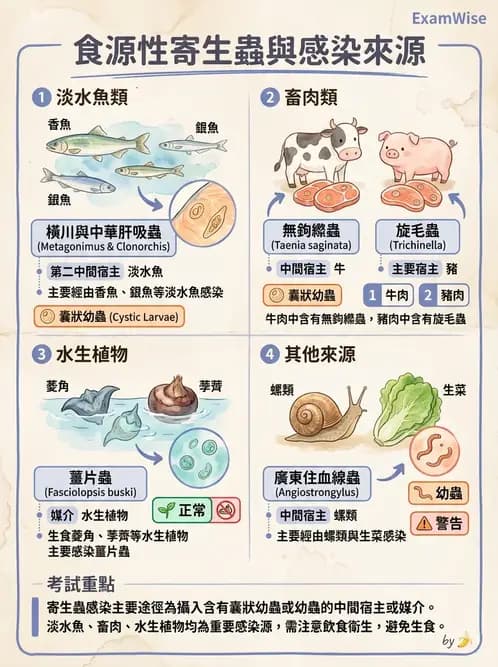 營養 - 生物性污染與寄生蟲 - AI 圖文解析預覽