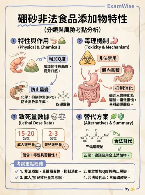 營養 - 食品添加物 - AI 圖文解析預覽