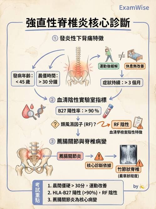 專師 - 風濕免疫疾病 - AI 圖文解析預覽