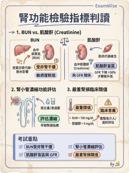 專師 - 慢性腎臟病與併發症 - AI 圖文解析預覽