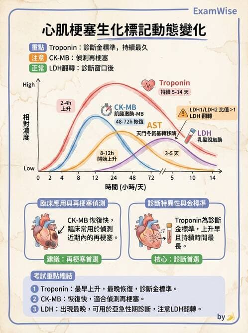 專師 - 急性心肌梗塞與處置 - AI 圖文解析預覽