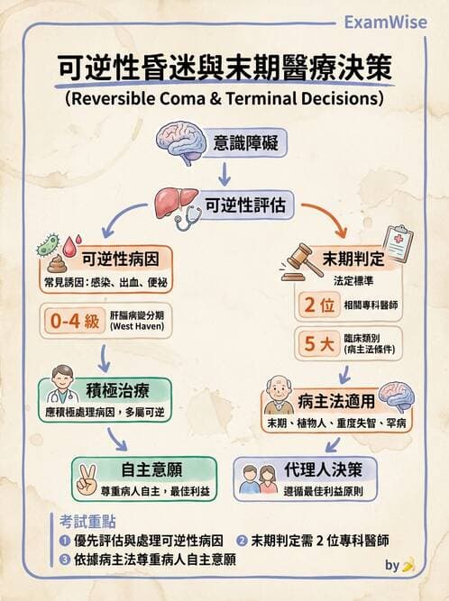 專師 - 倫理與病人自主 - AI 圖文解析預覽