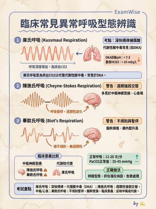 專師 - 糖尿病急症 - AI 圖文解析預覽