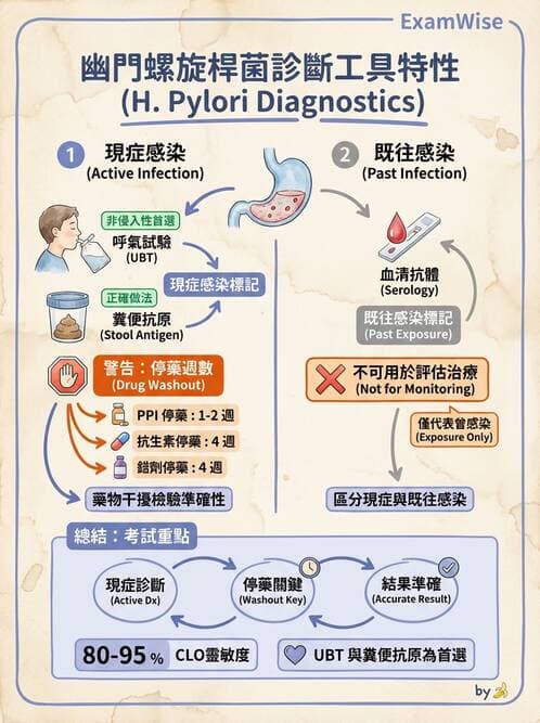專師 - 上消化道 - AI 圖文解析預覽