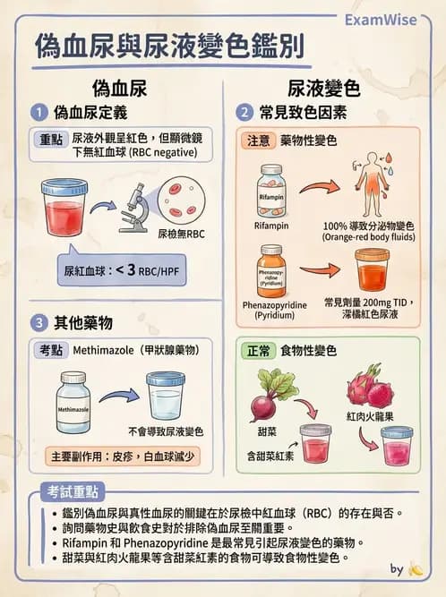 專師 - 糖尿病腎病變與腎絲球疾病 - AI 圖文解析預覽