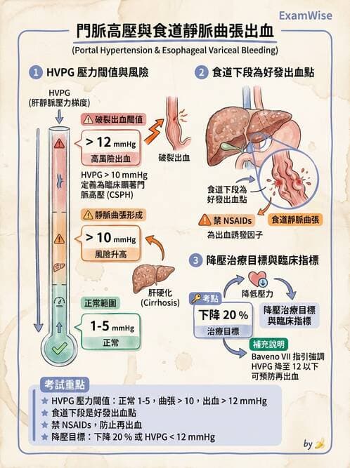 專師 - 上消化道 - AI 圖文解析預覽