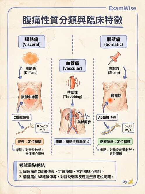 專師 - 腹部評估與急腹症 - AI 圖文解析預覽