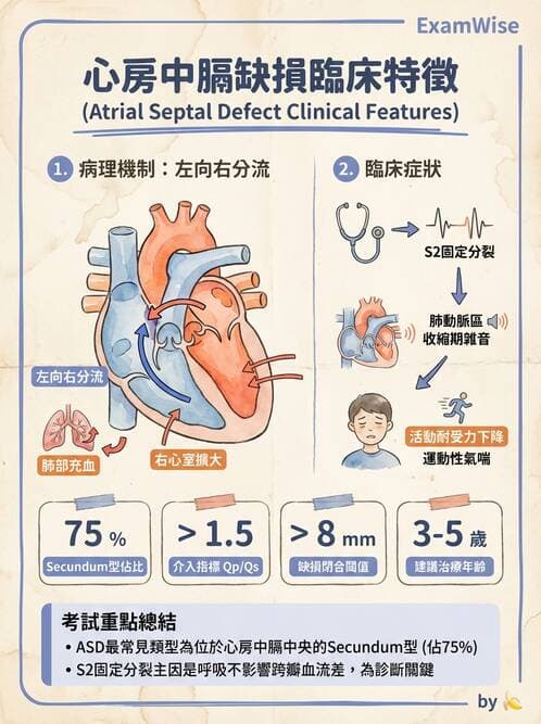 專師 - 瓣膜疾病 - AI 圖文解析預覽