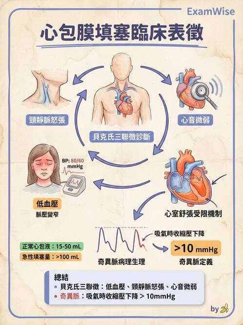 專師 - 心包膜與心肌疾病 - AI 圖文解析預覽