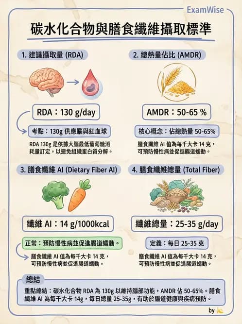 營養 - 醣類消化吸收與血糖調控 - AI 圖文解析預覽