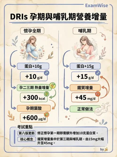 營養 - 孕期與哺乳期營養 - AI 圖文解析預覽