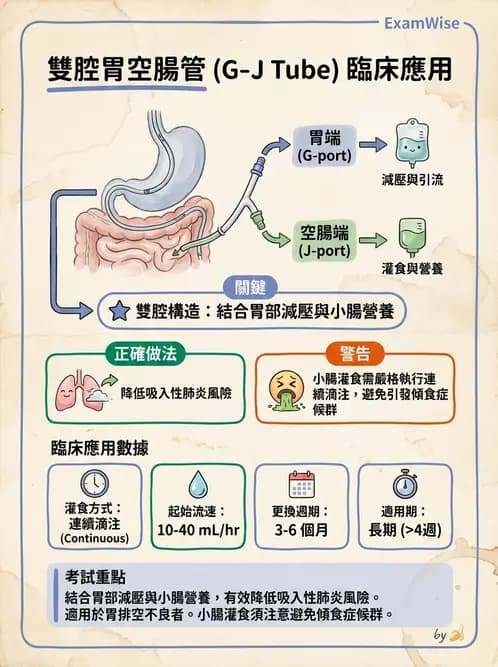 營養 - 營養支持 - AI 圖文解析預覽