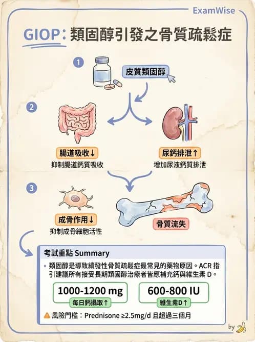 營養 - 呼吸系統疾病 - AI 圖文解析預覽