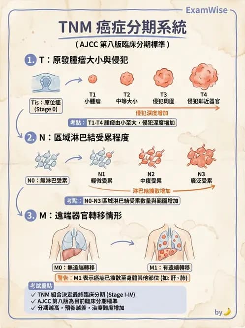 營養 - 癌症營養 - AI 圖文解析預覽