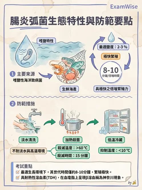 營養 - 食源性病原微生物 - AI 圖文解析預覽