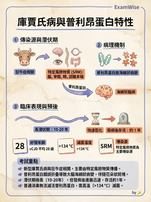 營養 - 生物性污染與寄生蟲 - AI 圖文解析預覽