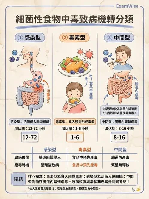 營養 - 食品腐敗微生物學 - AI 圖文解析預覽