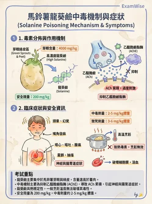 營養 - 天然毒素 - AI 圖文解析預覽