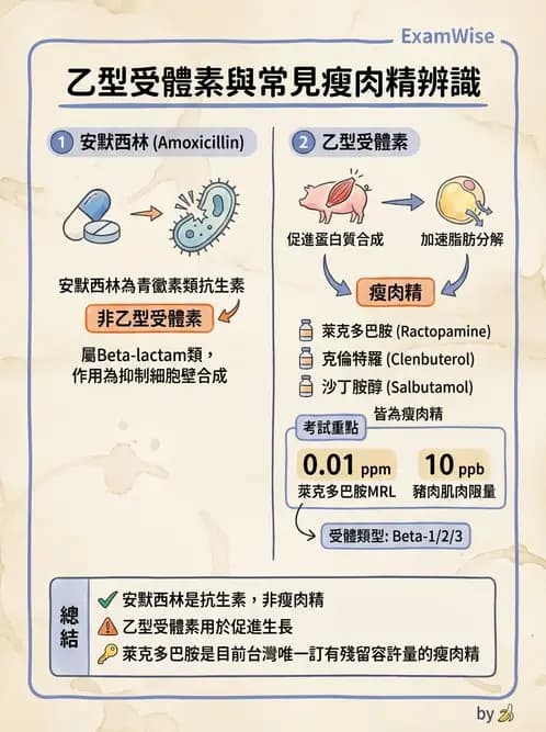 營養 - 化學性危害 - AI 圖文解析預覽