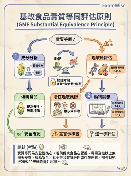 營養 - 食品安全性評估 - AI 圖文解析預覽