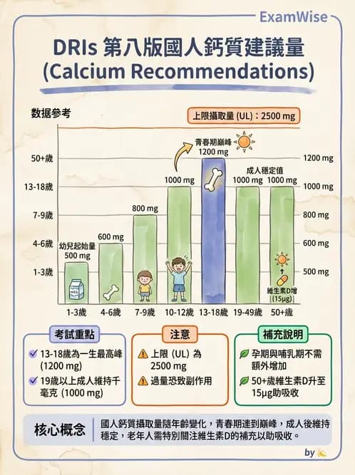 營養 - DRIs與飲食指南 - AI 圖文解析預覽
