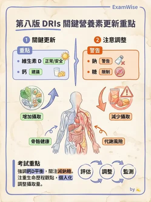 營養 - DRIs與飲食指南 - AI 圖文解析預覽
