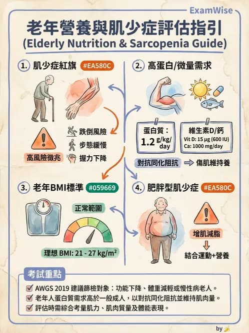 營養 - 長照與高齡營養政策 - AI 圖文解析預覽