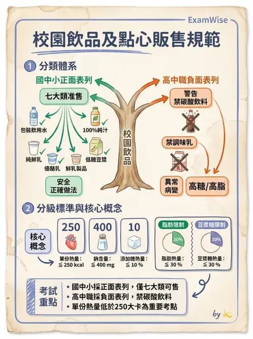 營養 - 學校營養政策 - AI 圖文解析預覽