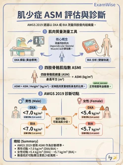 營養 - 體位評估 - AI 圖文解析預覽
