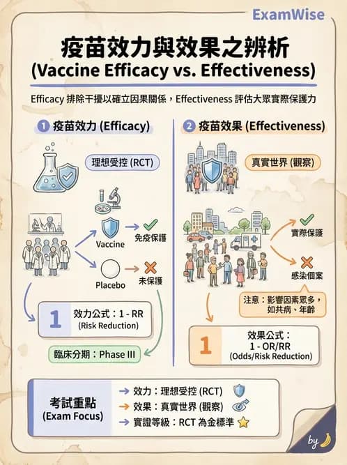 營養 - 流行病學與生物統計 - AI 圖文解析預覽