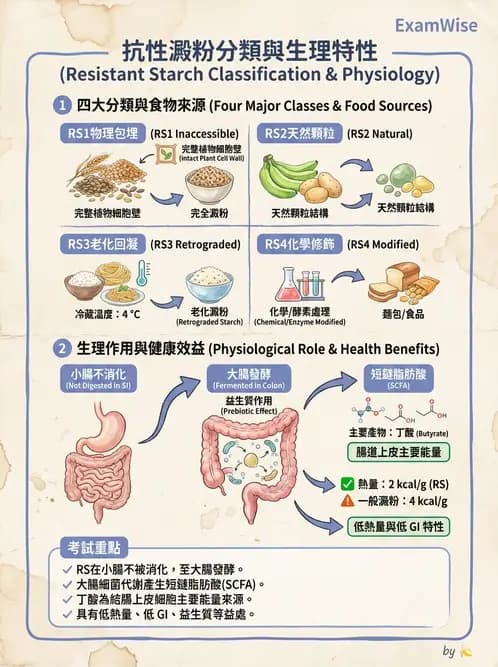 營養 - 醣類結構與膳食纖維 - AI 圖文解析預覽