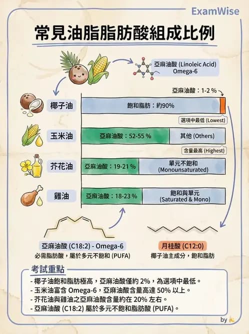營養 - 脂肪酸種類與必需脂肪酸 - AI 圖文解析預覽