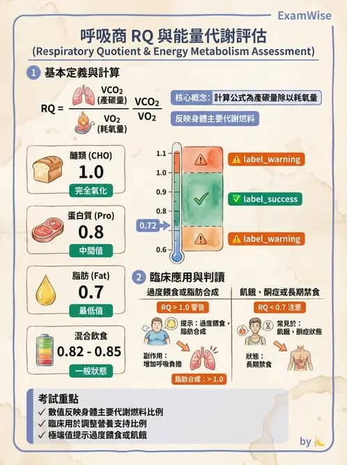 營養 - 能量平衡與食慾控制 - AI 圖文解析預覽