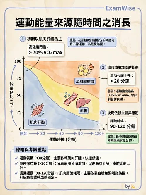 營養 - 當代營養學相關議題 - AI 圖文解析預覽