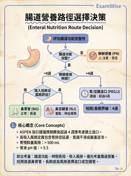 營養 - 營養支持 - AI 圖文解析預覽