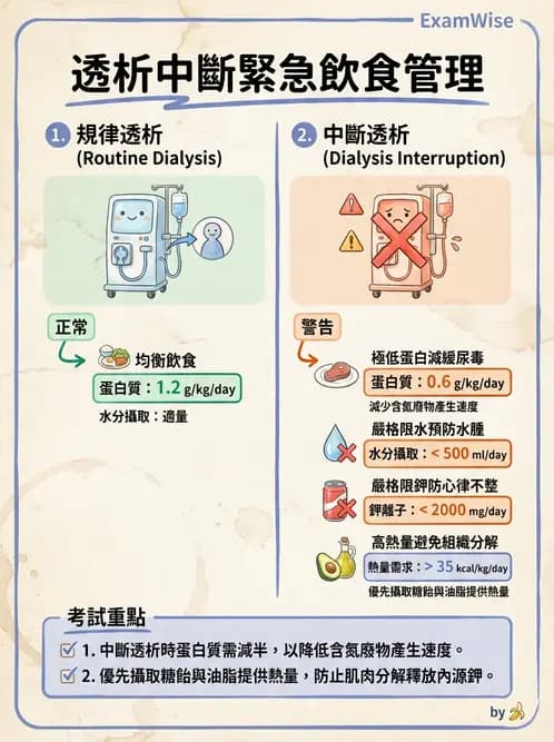 營養 - 透析治療飲食管理 - AI 圖文解析預覽