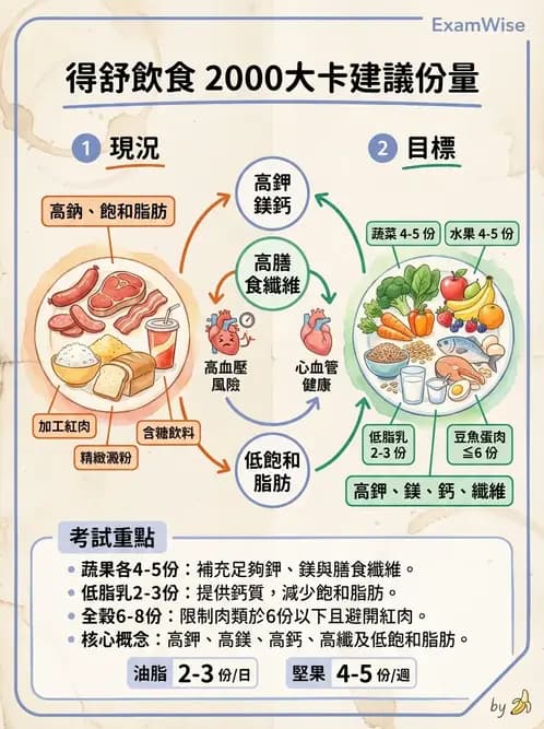 營養 - 高血壓與心血管保護飲食 - AI 圖文解析預覽