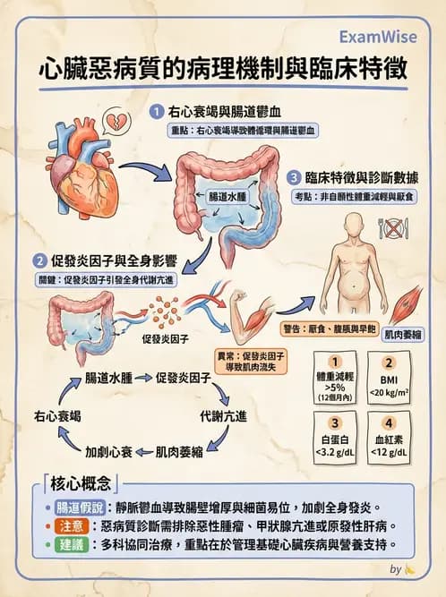 營養 - 心臟衰竭、移植與血脂管理 - AI 圖文解析預覽