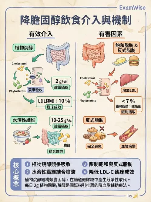 營養 - 心臟衰竭、移植與血脂管理 - AI 圖文解析預覽