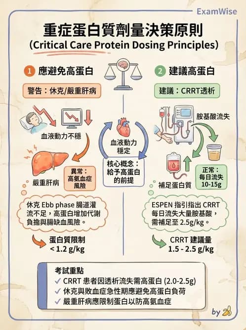 營養 - 重症一般營養照護 - AI 圖文解析預覽