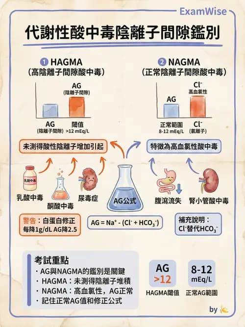 專師 - 酸鹼平衡 - AI 圖文解析預覽