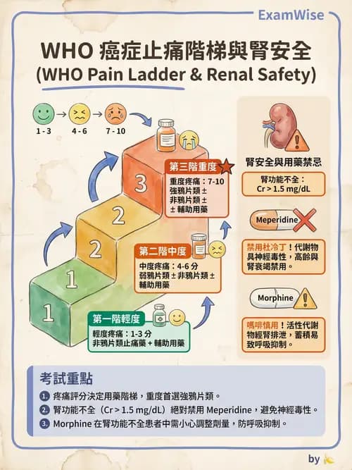 專師 - 疼痛控制與止痛藥物 - AI 圖文解析預覽