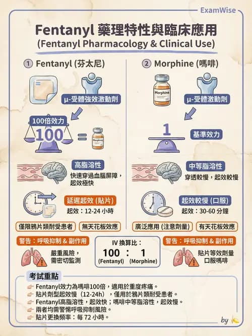 專師 - 術後疼痛控制 - AI 圖文解析預覽