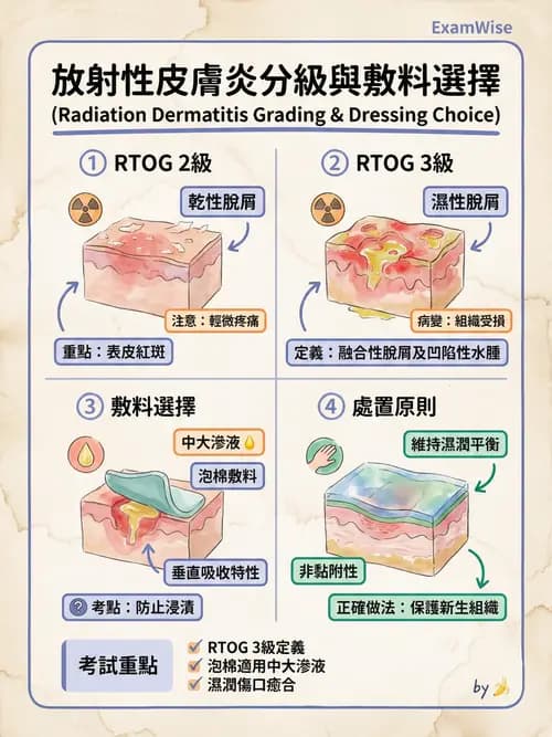 專師 - 傷口敷料與照護 - AI 圖文解析預覽
