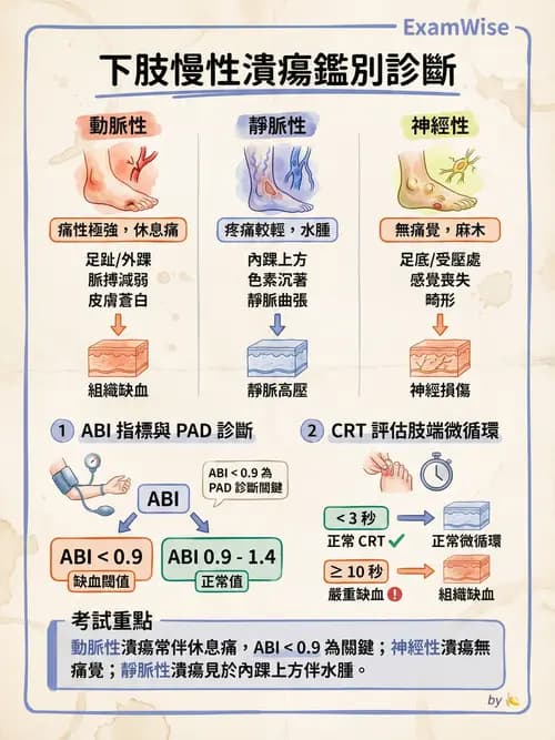 專師 - 壓瘡與慢性潰瘍 - AI 圖文解析預覽