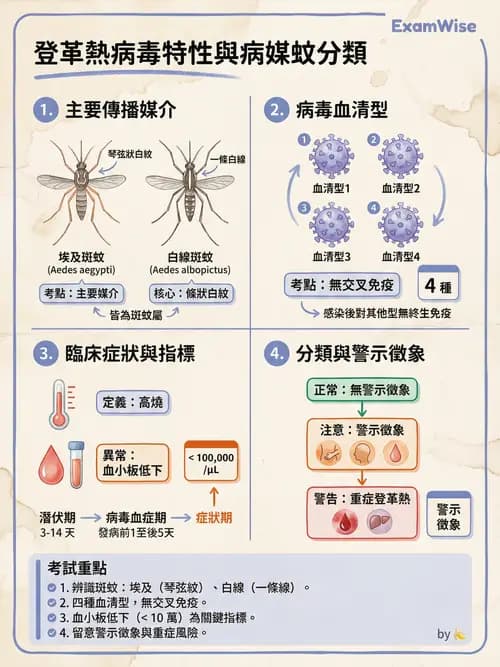 專師 - 法定傳染病與新興感染 - AI 圖文解析預覽