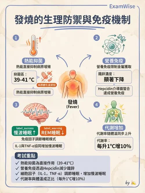 專師 - 敗血症與發燒通論 - AI 圖文解析預覽