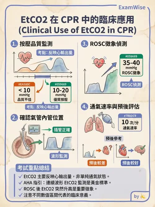 專師 - CPR與復甦後照護 - AI 圖文解析預覽