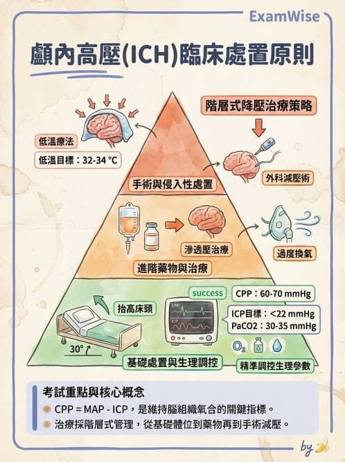 專師 - 頭部外傷與顱內壓 - AI 圖文解析預覽